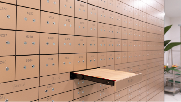 What Should You Store in a Secure Private Vault?